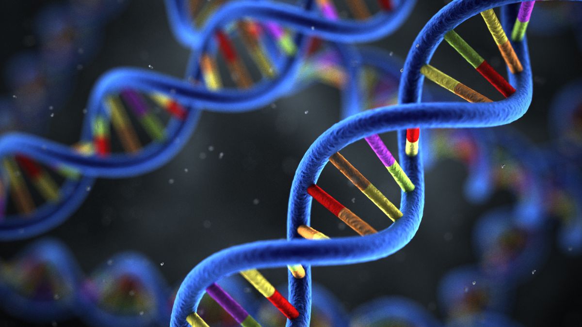 DNA