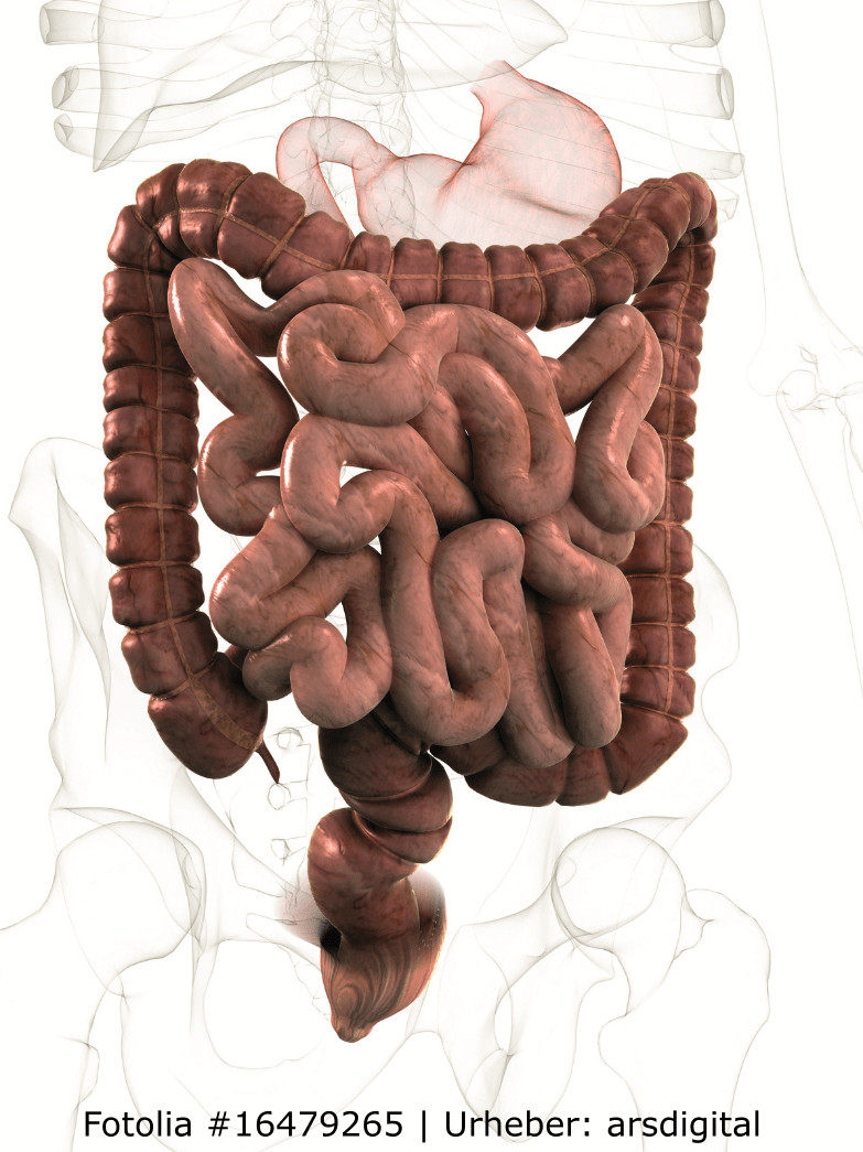 Fotolia 16479265 Urheber arsdigital duenndarm