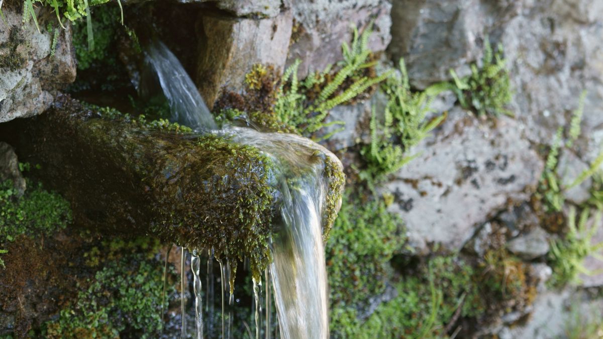 Quellwasser