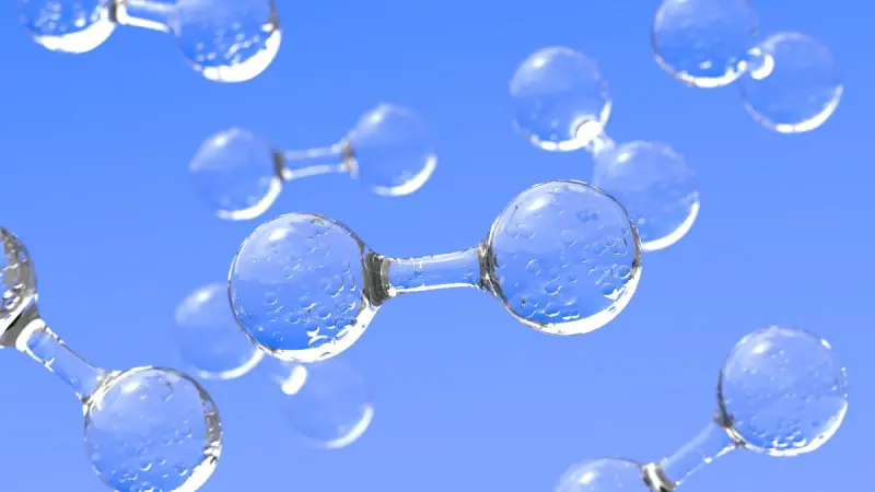 Beitragsbild: Das antioxidative System