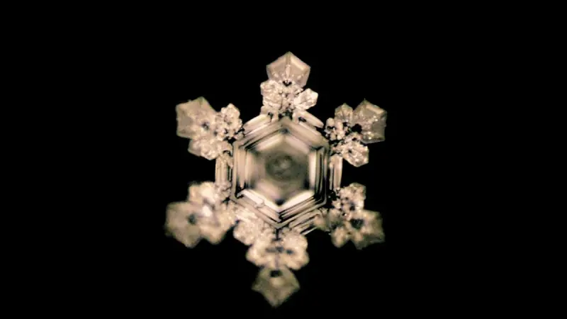 Beitragsbild: So entstehen Wasserkristallbilder nach Masaru Emoto