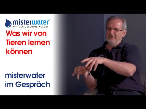 Videovorschau: Gutes Trinkwasser: Was wir von Tieren lernen können
