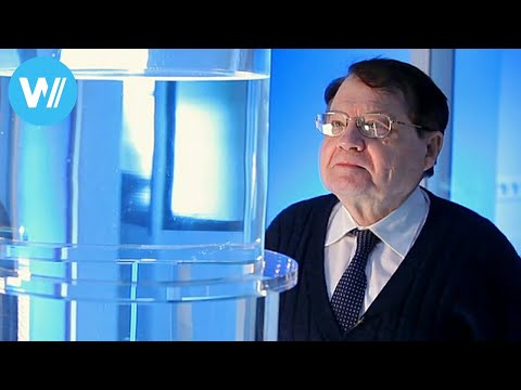 Videovorschau: Water Memory (2014 Documentary about Nobel Prize laureate Luc Montagnier)