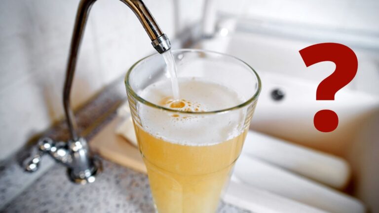 Wie wichtig ist Wasser filtern